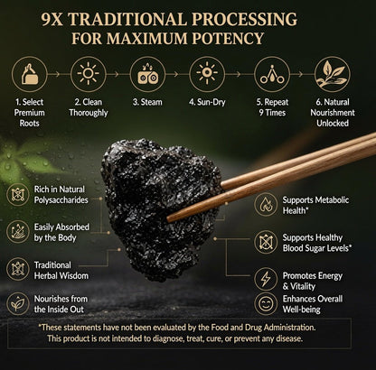 9X Prepared Rehmannia Root | Natural Blood Sugar & Metabolic Support Tonic-EDC