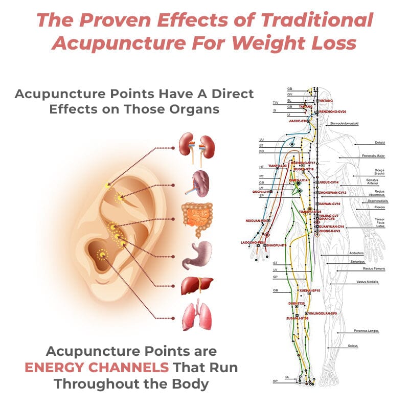 WIMAID™ Lymph Flow Magnetogen Earrings