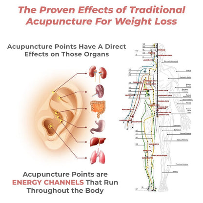 WIMAID™ Lymph Flow Magnetogen Earrings